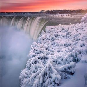 Meet your Posher, Wennie